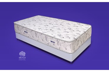 تشک نوجوان پسرانه ریکو